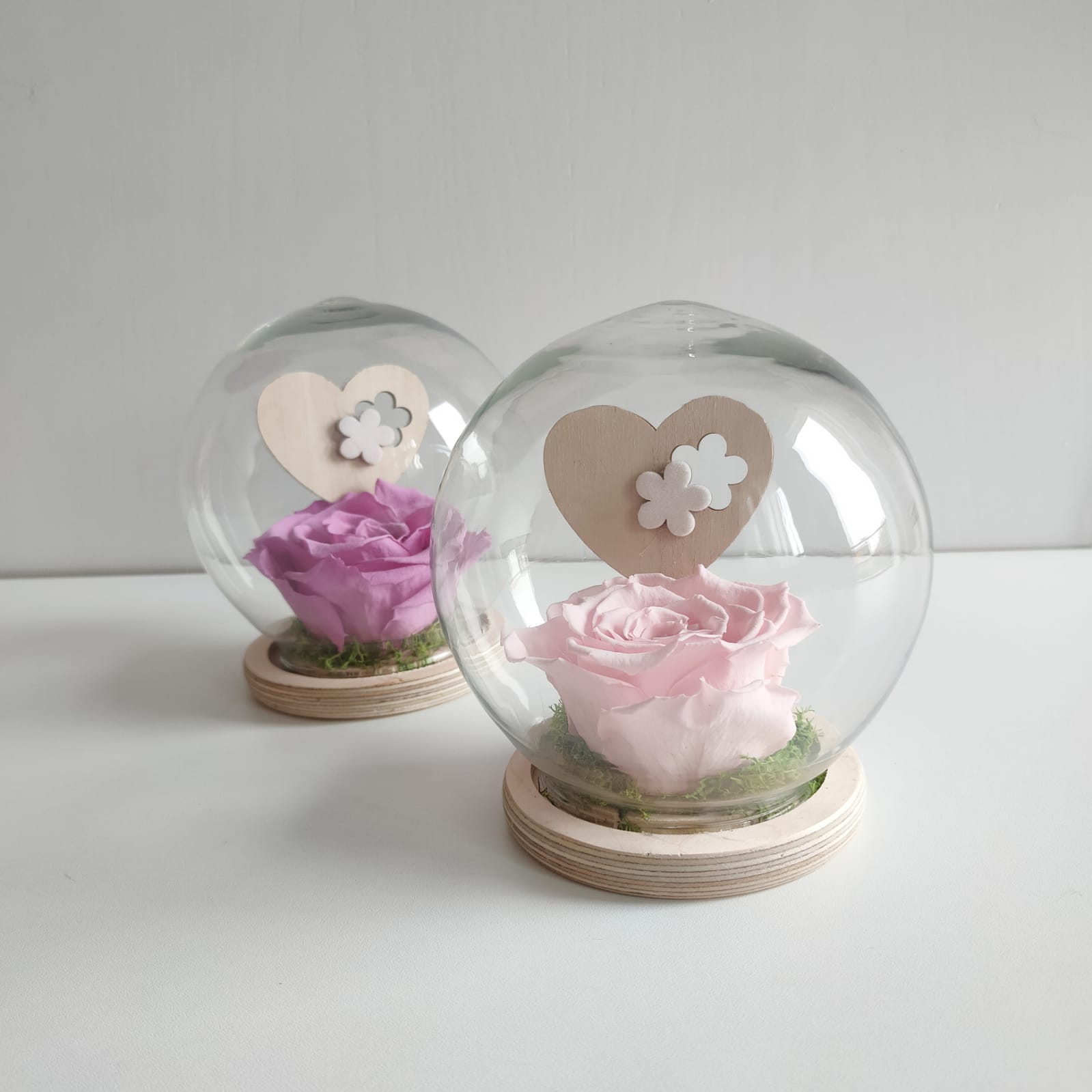 Rosa eterna en cúpula de cristal