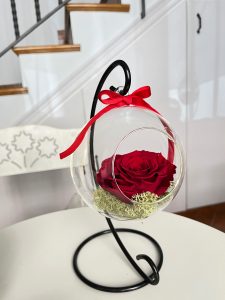 Rosa preservada en burbuja de cristal